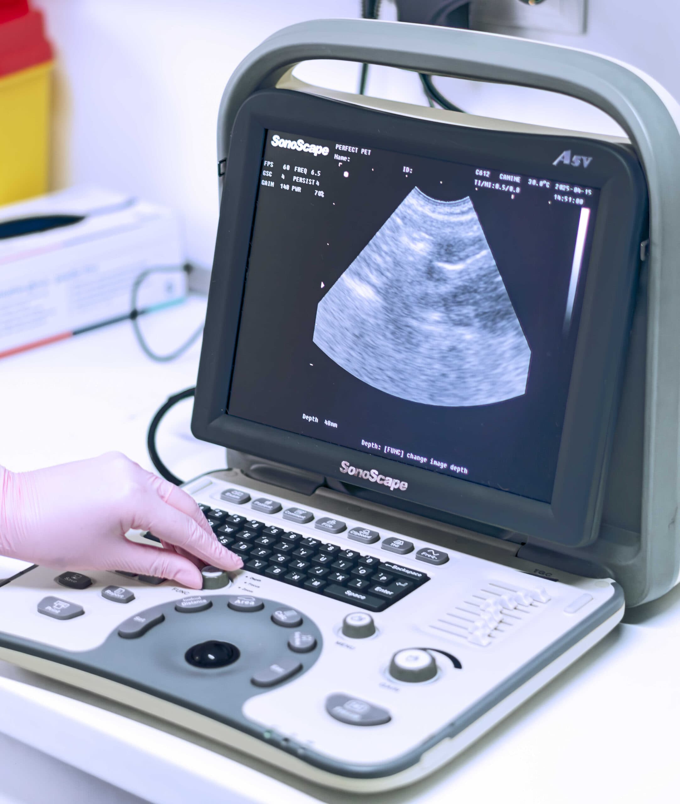 Detaliu din interiorul cabinetului veterinar Milivet