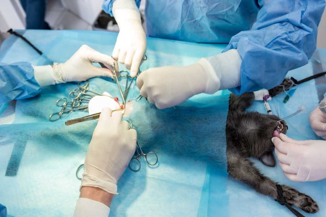 Pregătirea unui pacient pentru sterilizare