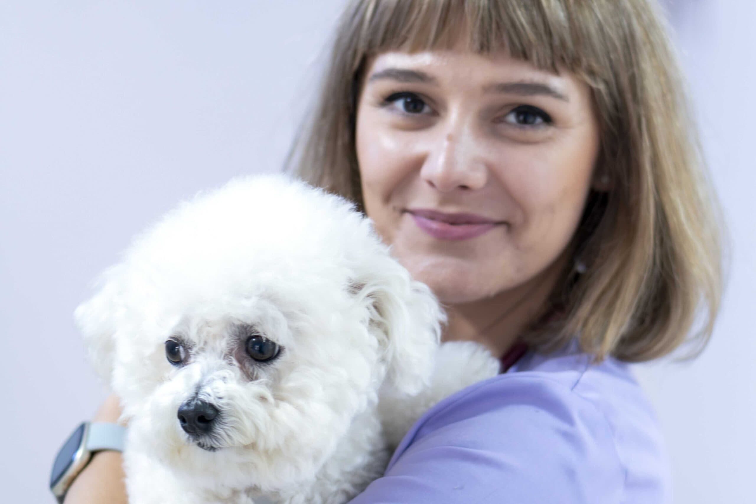 Detaliu din cabinetul veterinar Milivet